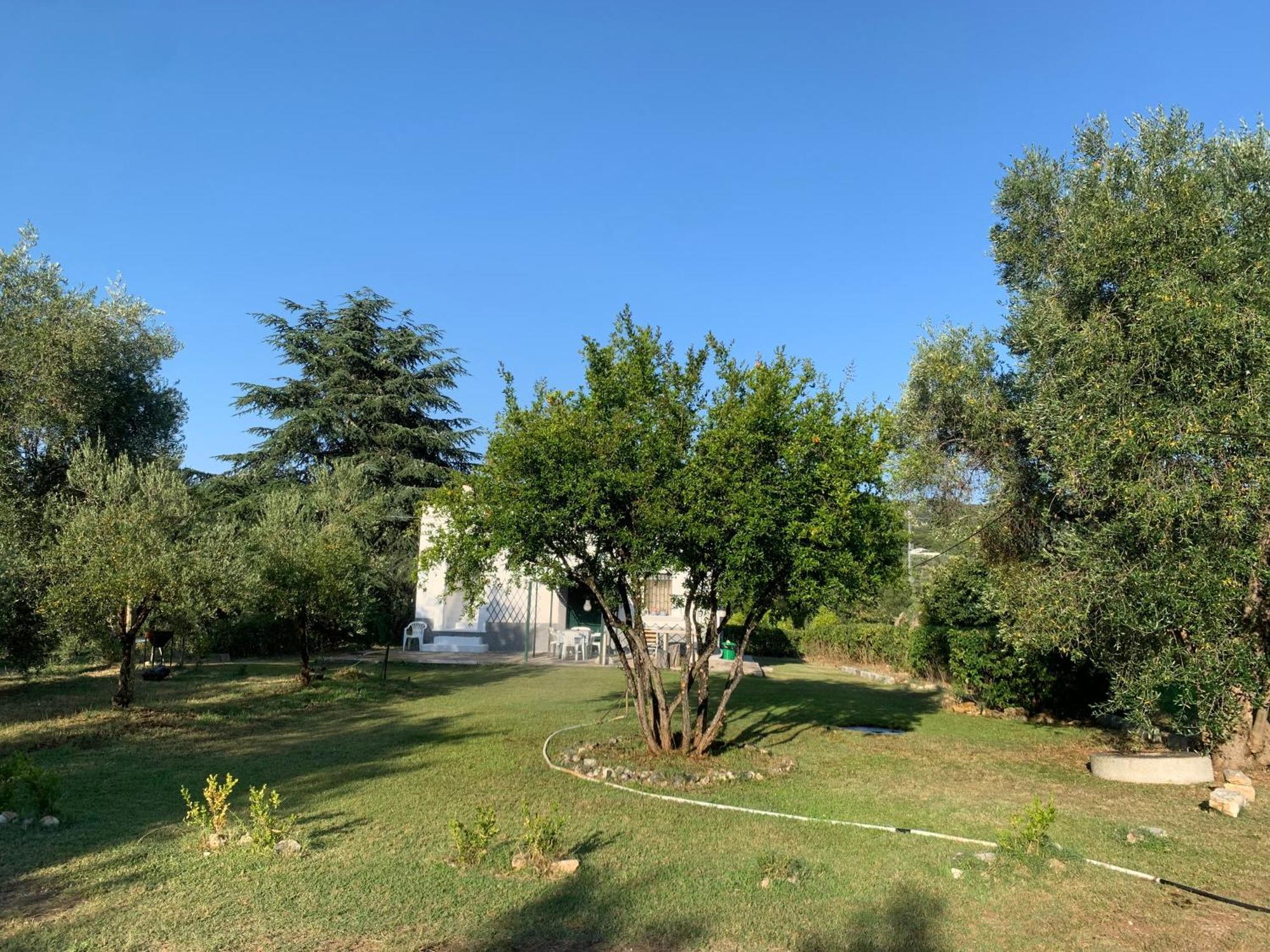 Casa Colonica Di Campagna Come Era Una Volta Peschici Dış mekan fotoğraf