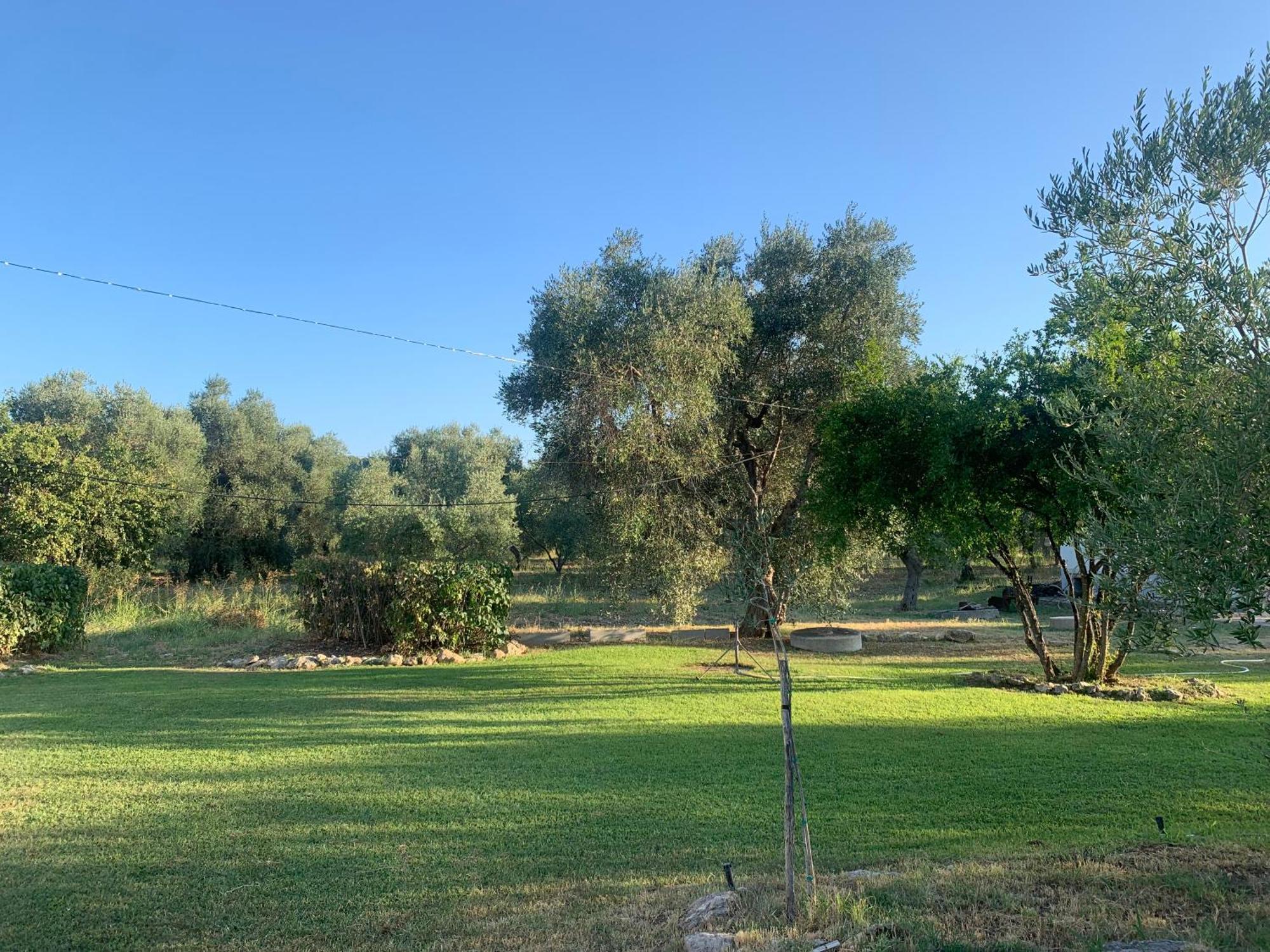 Casa Colonica Di Campagna Come Era Una Volta Villa Peschici Dış mekan fotoğraf